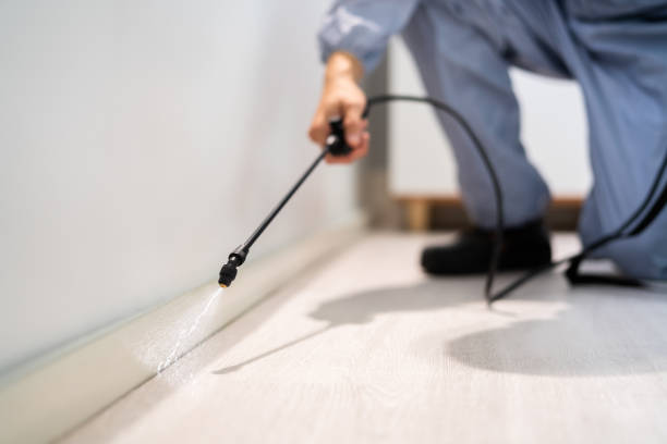 Licensed Cockroach Control service in Maury, NC - Nex Pest Control
