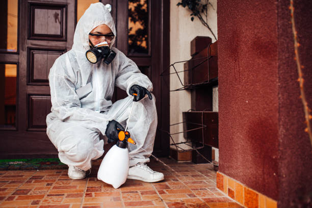 Reliable Cockroach Control contractor in Maury, NC by Nex Pest Control